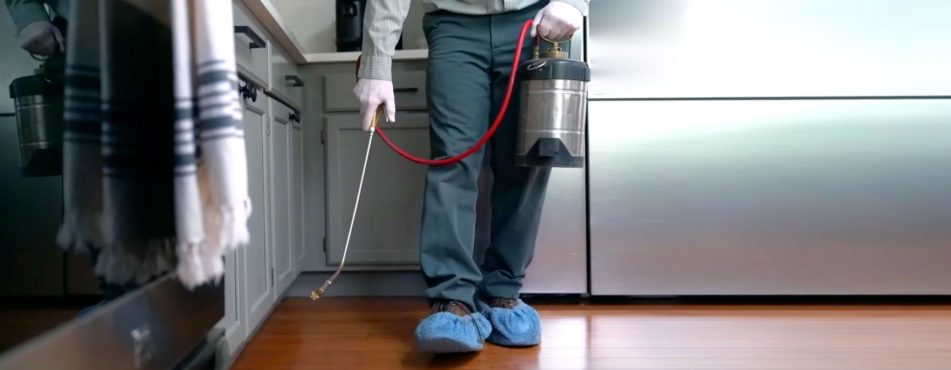 Professional silverfish control treatment