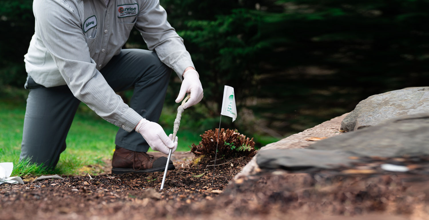 Professional mole control technician