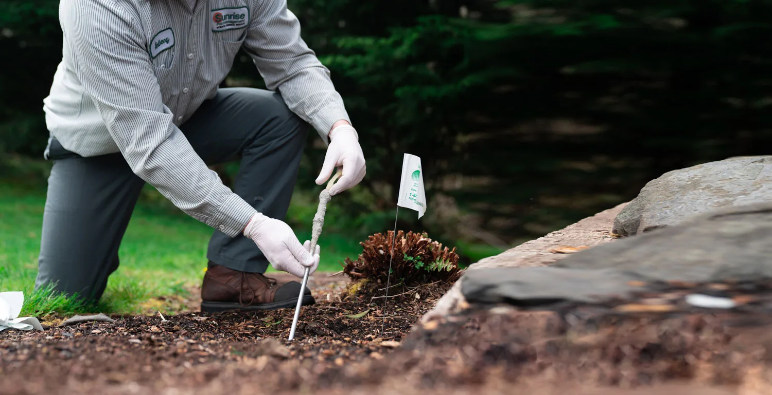 Professional mole control technician