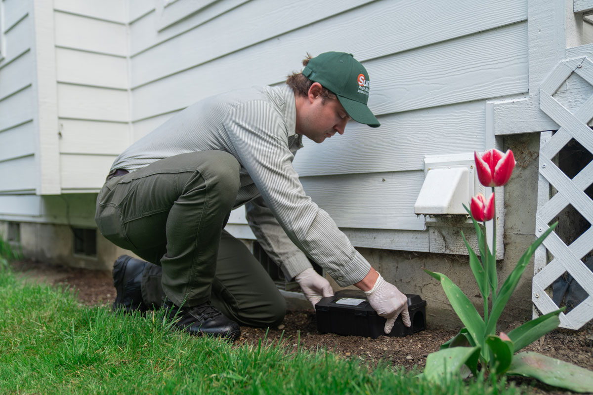 Rodent trap placement for control