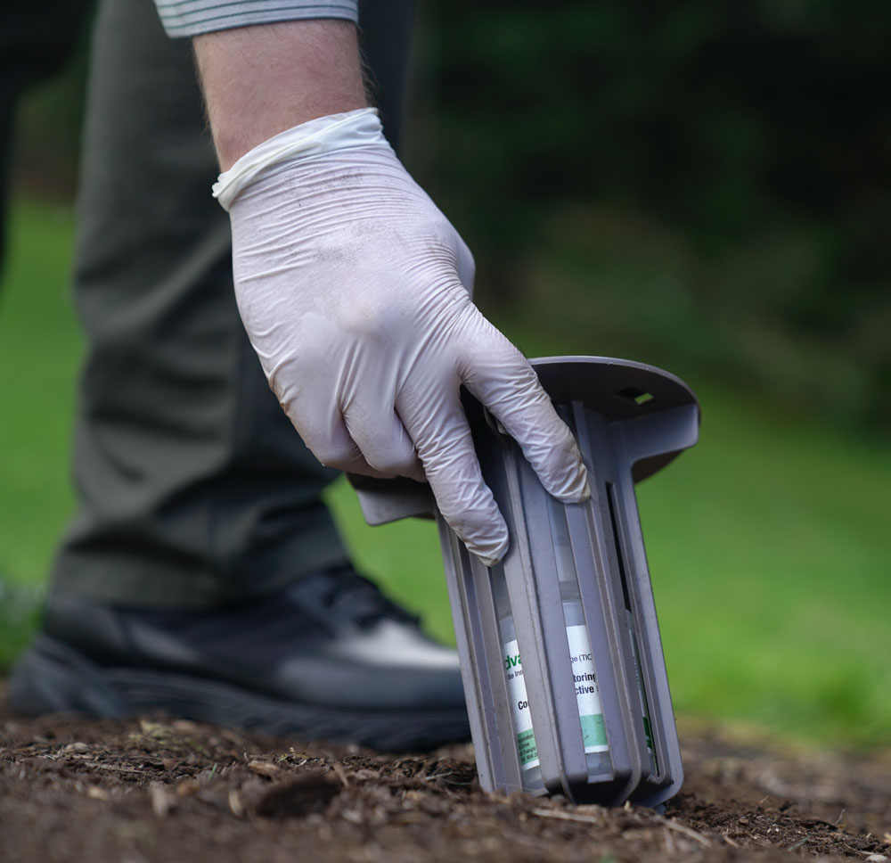 Termite inspection equipment