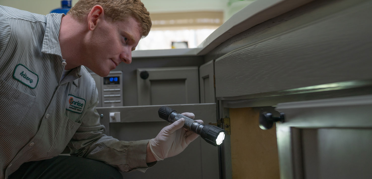 Indoor pest control service