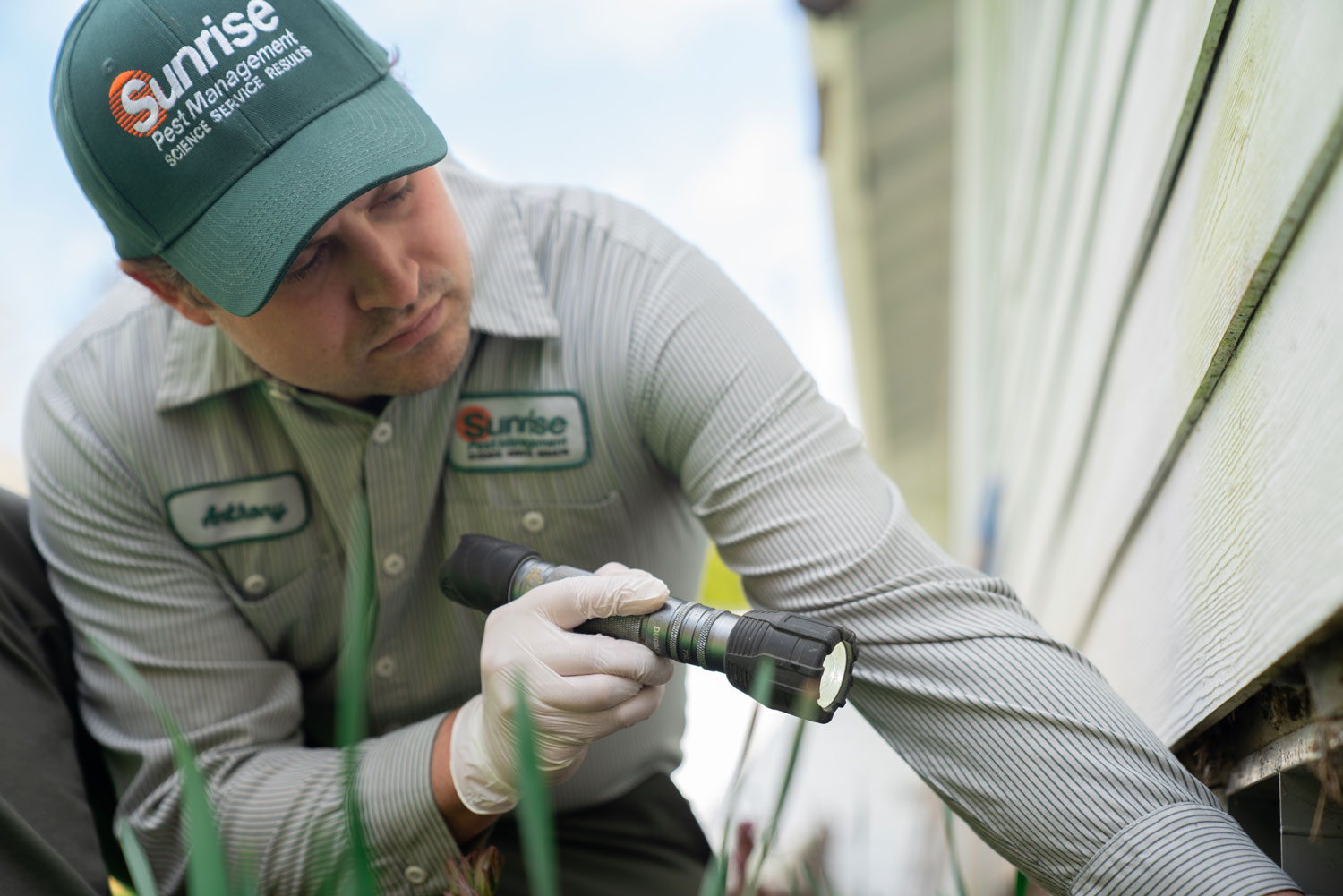 Technician inspecting vent for powder post beetles