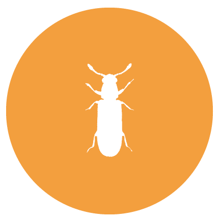 Pest Control Washington icon