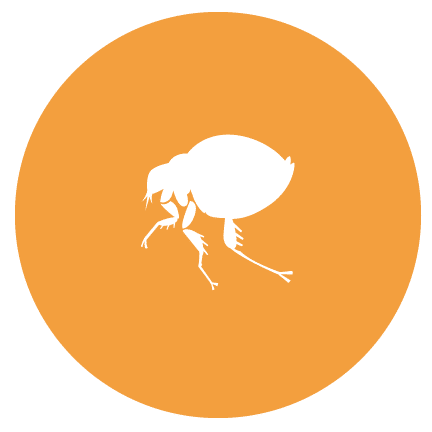 Pest Control Washington icon