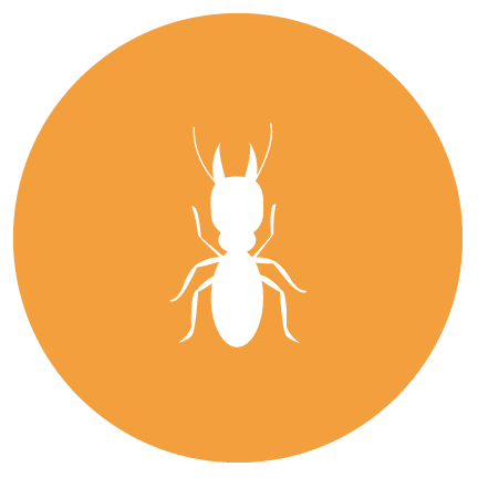 Termite icon circle