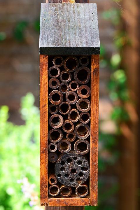A mason bee house with many wooden holes for them to live in